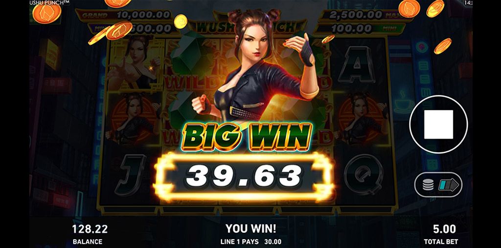 Wushu Punch-gallery-0