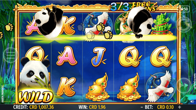 Panda Paradise-gallery-0