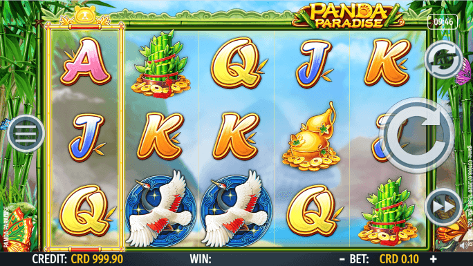 Panda Paradise-gallery-1